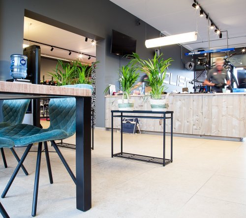 Interior of Specialized Antwerp with a modern reception area, wooden counter, green plants, and seating.